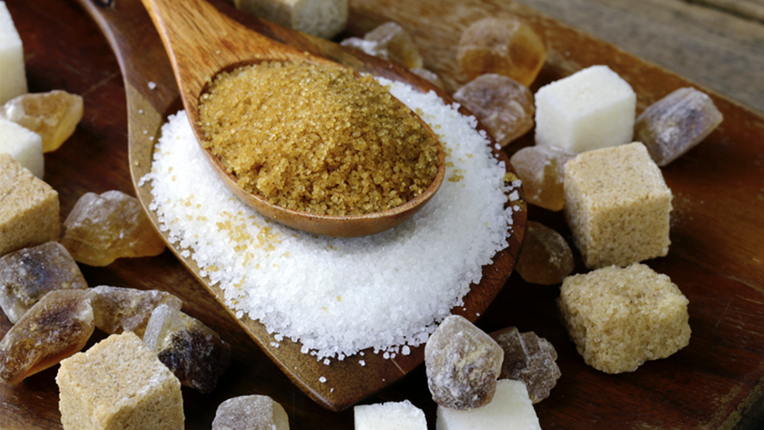 cuillère en bois avec différentes variétés de sucre : blanc, roux, cassonade et sucre cristallisé