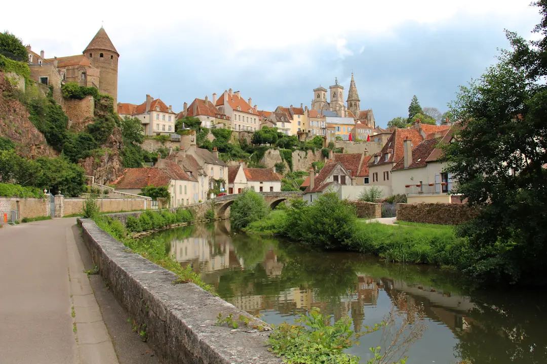 Aligoté de Bourgogne : guide complet accords et choix