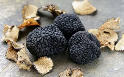 truffes noires fraîches avec débris de terre sur surface grise