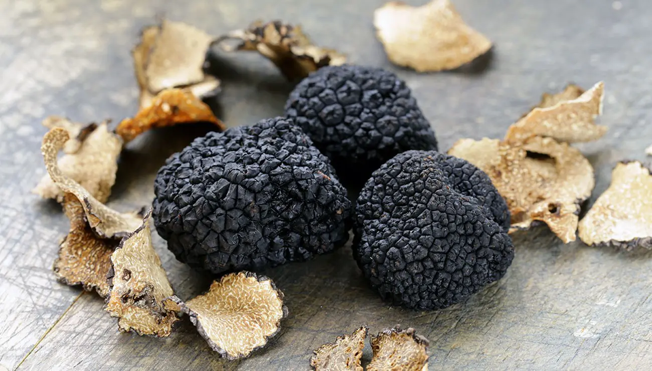 truffes noires fraîches avec débris de terre sur surface grise