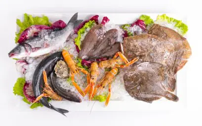 Choisir les poissons frais