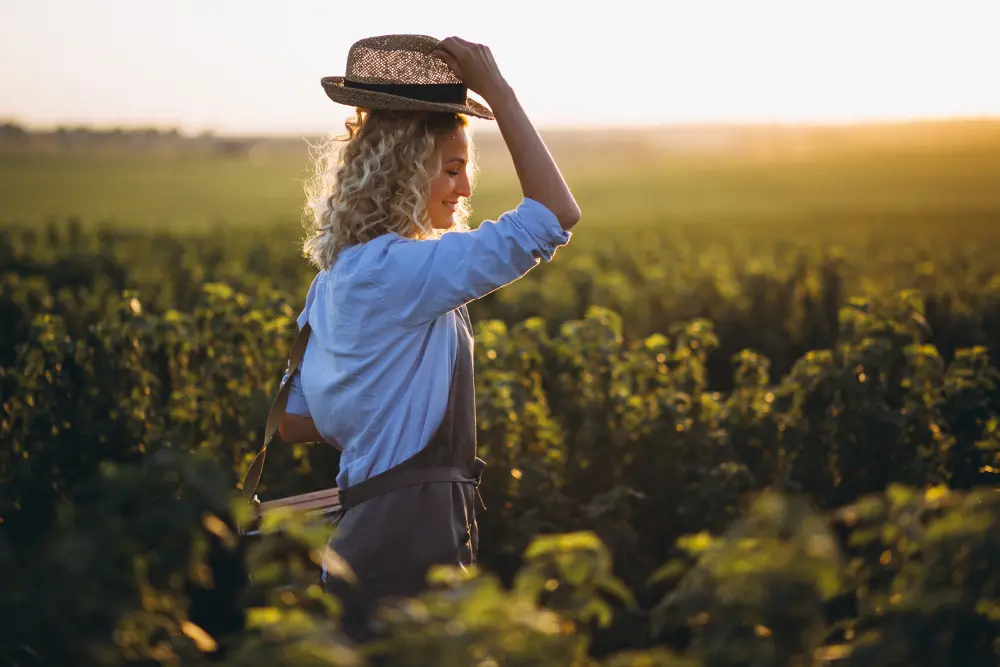Vignes et vignerons